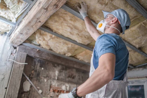 Types of Insulation We Offer in Oxford, AL